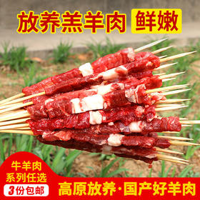 【3份包邮】高原放养羔羊羊肉串 烧烤食材烤串 新鲜羊肉15串 280g