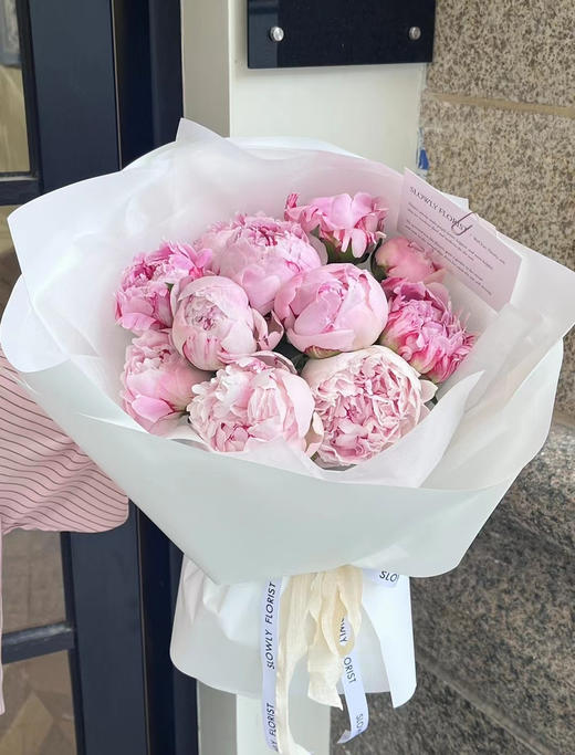 进口品种-萨拉大芍药 商品图3