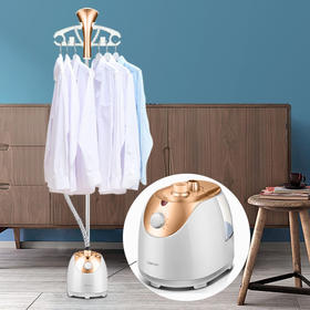 联创（LIAN） 多功能蒸汽挂烫机 DF-DY1602M