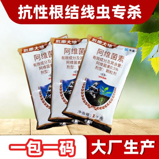 阿维菌素茵素黄瓜根结线虫杀线虫专用药农药杀虫剂大全撒施农用 商品图3