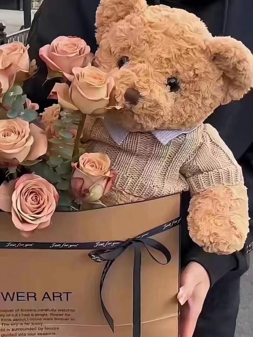 卡布奇诺抱抱熊 商品图6