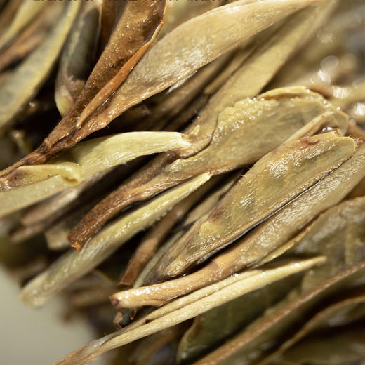 白茶 | 绿雪芽 2022年一级白牡丹正宗高山白茶香舞春山70g 商品图3