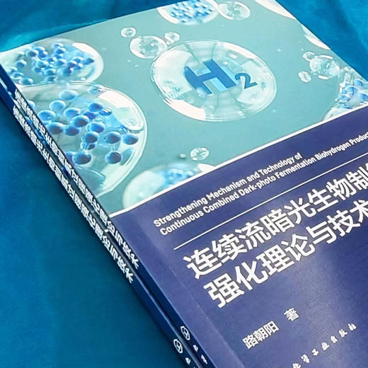 连续流暗光生物制氢过程强化理论与技术 商品图2