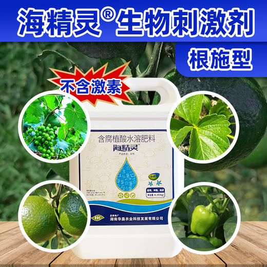 【海精灵生物刺激剂根施型】冲施根施型湖南华垦 （各种规格齐全） 商品图4