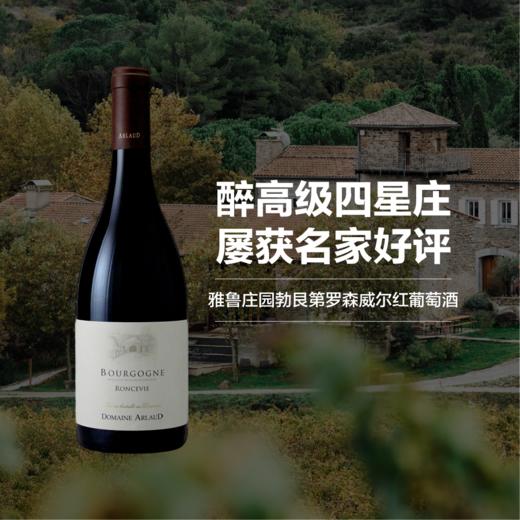 雅鲁庄园勃艮第罗森威尔红葡萄酒 2019 Domaine Arlaud Bourgogne Roncevie 商品图0