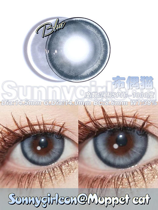 sunnygirl （sunny girl）美瞳半年抛 布偶猫 直径14.5mm着色14.0mm 商品图13