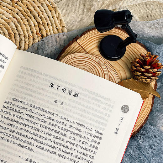 朱子学年鉴 2021 朱熹 文献性 资料性学术年刊 商品图5