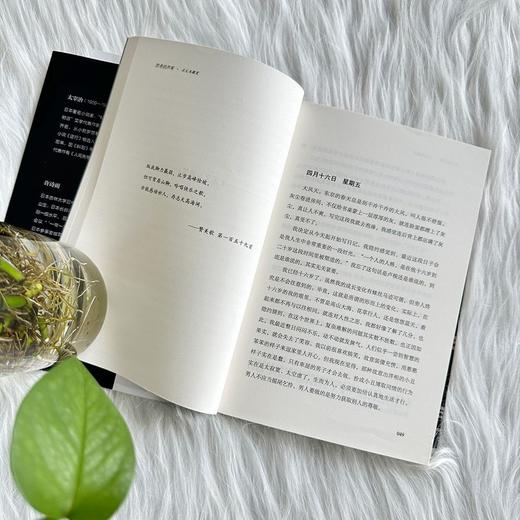 思考的芦苇   太宰治（日） 商品图4