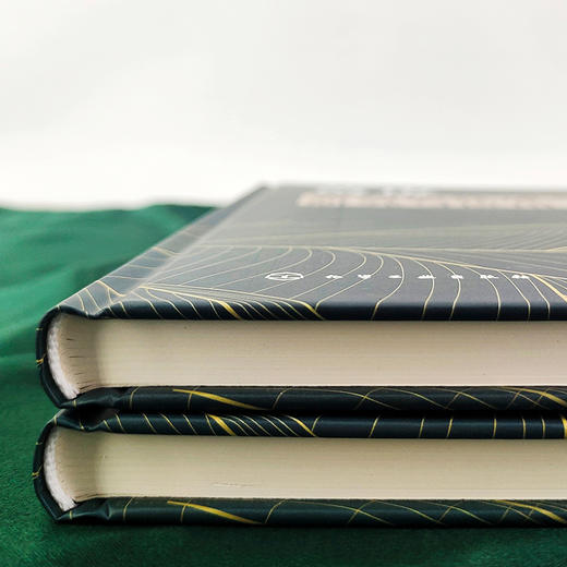 黄皮农药活性成分研究与应用 商品图3