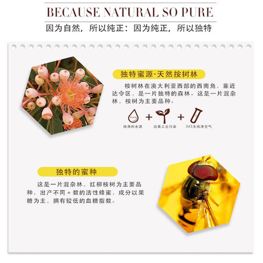 Karibee|可瑞比 纯正天然桉树蜂蜜（增强抵抗力） 商品图3
