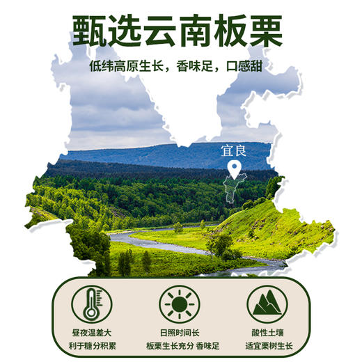 【嘉华严选】高原板栗仁  果干零食  100g（2袋起购） 商品图4