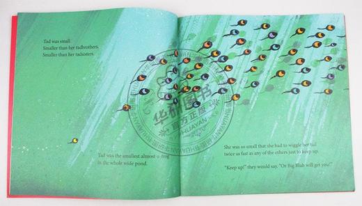 Collins柯林斯 小蝌蚪达德 英文原版 Tad 青蛙达德 本吉戴维斯绘本 Benji Davies 大开本 英文版儿童英语启蒙早教故事书 进口原版书籍 商品图2