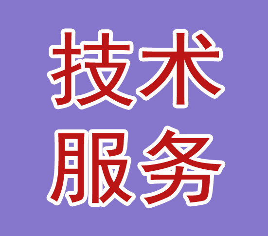 技术服务和补差价专拍