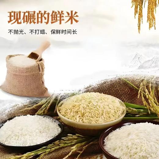 农家鲜米5kg 商品图1