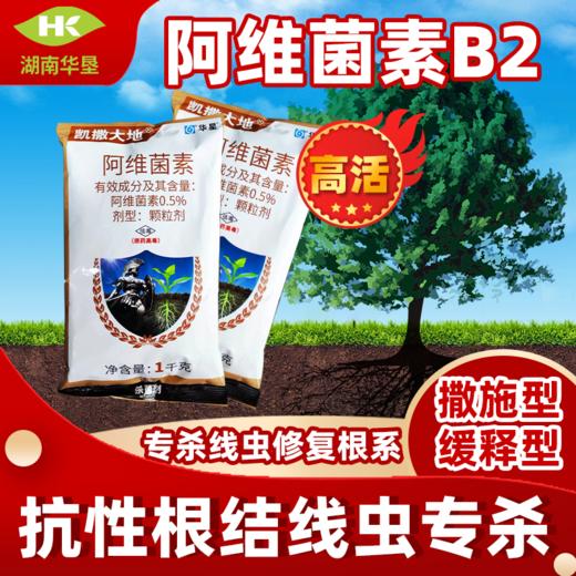 阿维菌素茵素黄瓜根结线虫杀线虫专用药农药杀虫剂大全撒施农用 商品图0