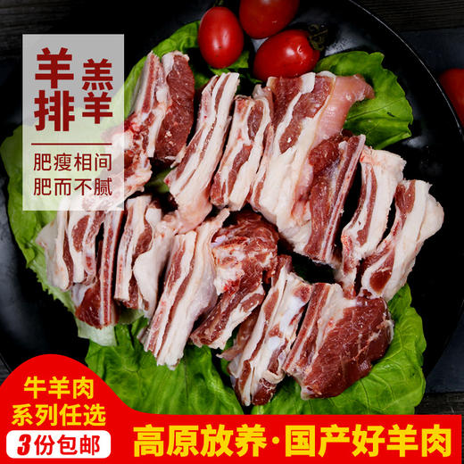 【3份包邮】羊排  国产高原放养羔羊  精羊排    新鲜切段  1斤 商品图0