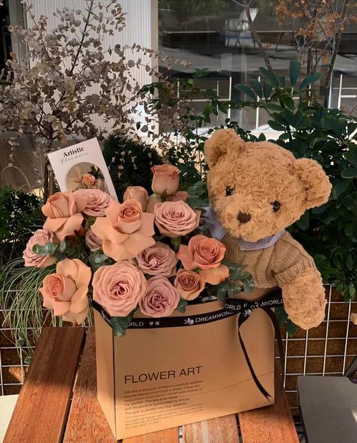 卡布奇诺抱抱熊 商品图5