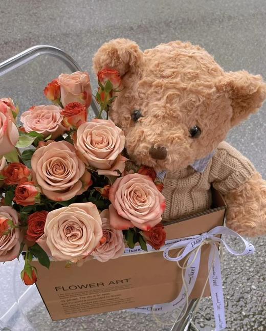 卡布奇诺抱抱熊 商品图1