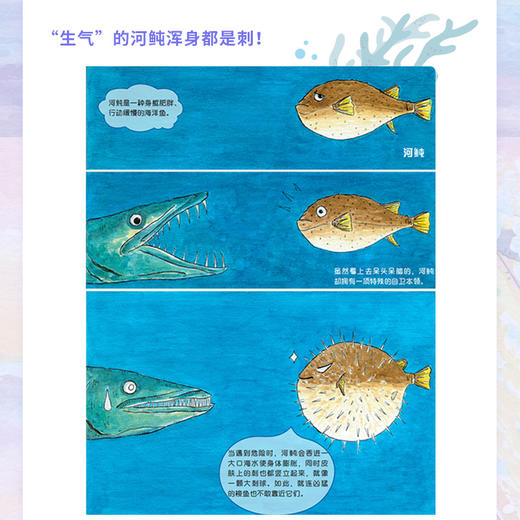 手绘海洋动物（修订版） 海洋百科全书 彩图绘本 海洋生物科普读物 海底世界科普百科全书 你不可不知的海洋之谜 商品图3