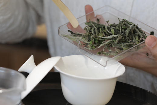 清如許定制 ｜ 2024春采［白牡丹] 500g收藏罐装 商品图3