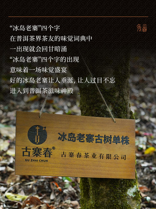 【鼎级奢侈品】【兔首—冰岛老寨龙珠】中国制茶大师全程亲制加监制代表了茶界蕞高端奢品，满足所有高端用茶场景需求限量100罐出售，600克/罐，每罐赠送旅行锡罐一个拍5发6拍20发25 商品图3