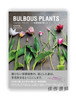 Bulbous Plants / バルバス?プランツ ‐球根植物の愉しみ‐ / 球根植物 商品缩略图0