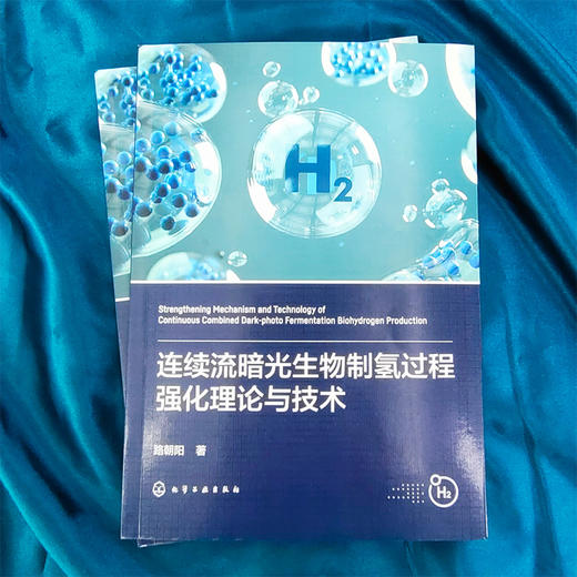 连续流暗光生物制氢过程强化理论与技术 商品图1