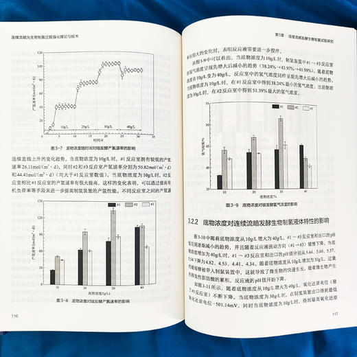 连续流暗光生物制氢过程强化理论与技术 商品图6
