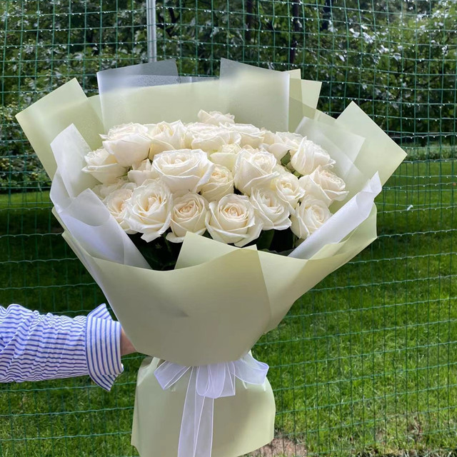 33支白玫瑰花束