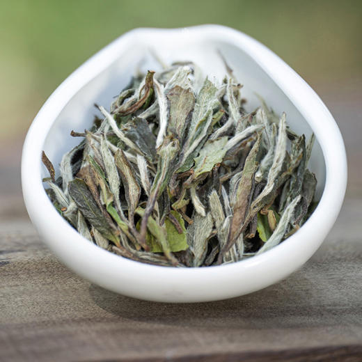 白茶 | 绿雪芽 2022年一级白牡丹正宗高山白茶香舞春山70g 商品图1