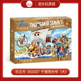 H 乐立方   DS1027	 千里阳光号（大）