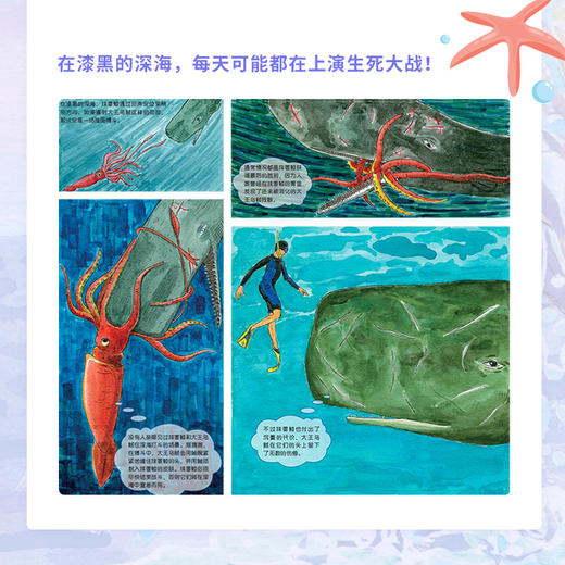 手绘海洋动物（修订版） 海洋百科全书 彩图绘本 海洋生物科普读物 海底世界科普百科全书 你不可不知的海洋之谜 商品图2