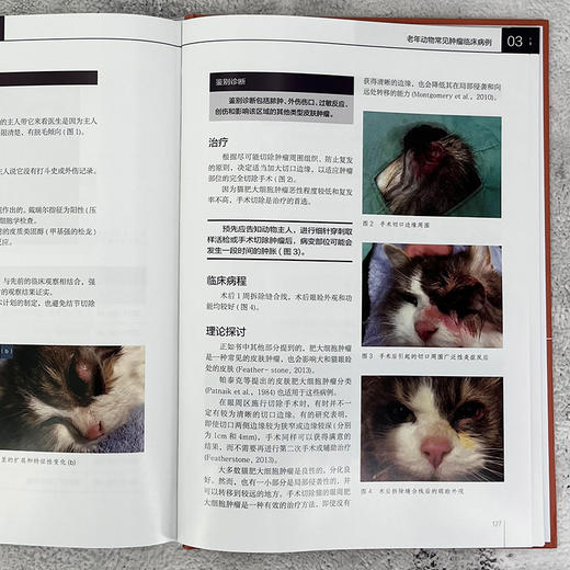 老年动物肿瘤学及临床病例 商品图7