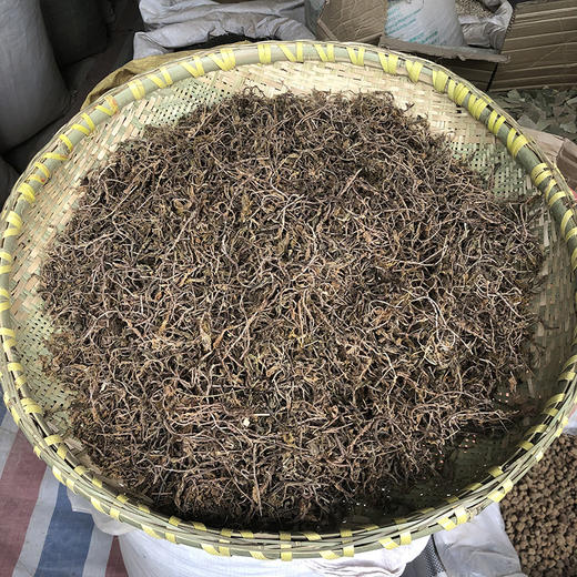 垂盆草 商品图0