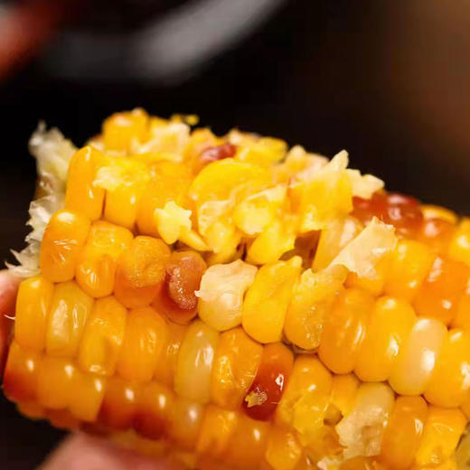 s  疆农家有机玉米 糯玉米 甜糯玉米 商品图2