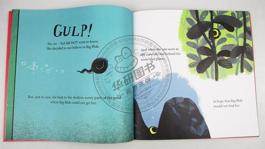 Collins柯林斯 小蝌蚪达德 英文原版 Tad 青蛙达德 本吉戴维斯绘本 Benji Davies 大开本 英文版儿童英语启蒙早教故事书 进口原版书籍 商品图1