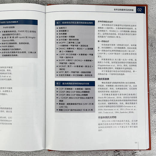 老年动物肿瘤学及临床病例 商品图6