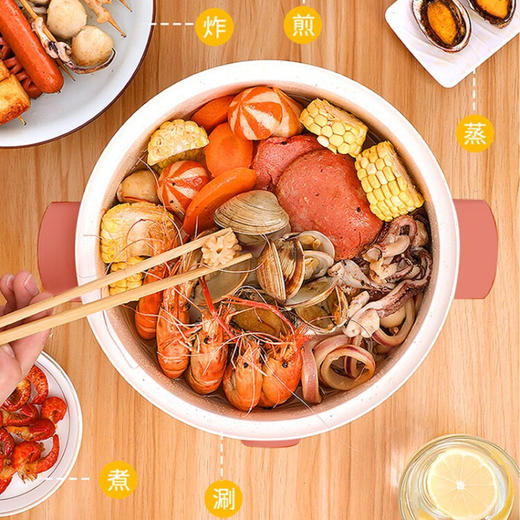 艾美特（AIRMATE）  多功能电火锅电炖锅 CR1003 商品图2