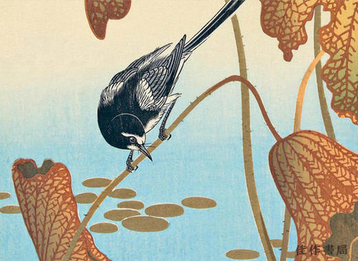 Kingfisher with Lotus Flower Birds of Japan by Hokusai、Hiroshige and Other Masters of the Woodblock  商品图2