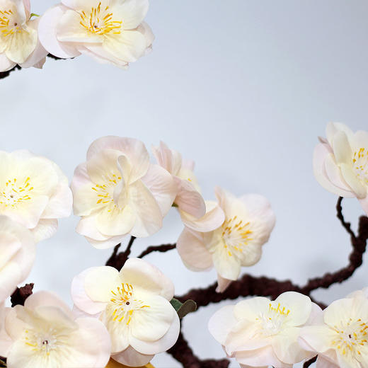 莫兰迪简约陶瓷花瓶摆件客厅水养插花电视柜餐桌北欧风创意装饰品 商品图4