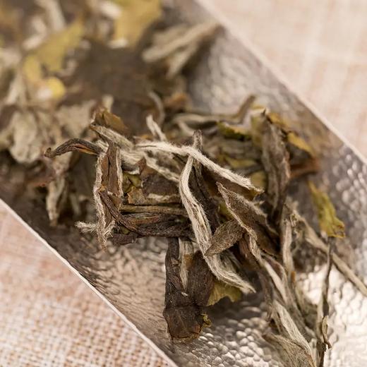 四大茗乐罐装系列【知我意】2017年白牡丹 商品图4