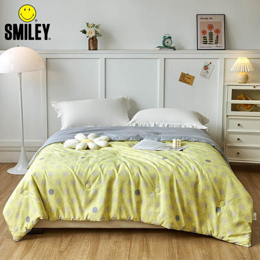 SMILEY微笑 史迈利温馨被 SMILEY-BX22-113 商品图4