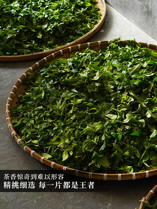 【鼎级奢侈品】【兔首—冰岛老寨龙珠】中国制茶大师全程亲制加监制代表了茶界蕞高端奢品，满足所有高端用茶场景需求限量100罐出售，600克/罐，每罐赠送旅行锡罐一个拍5发6拍20发25 商品图6