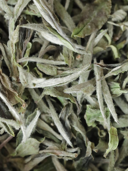 清如許定制 ｜ 2024春采［白牡丹] 500g收藏罐装 商品图1