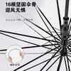 「高颜值！加固16骨」16骨透明伞 抗风自动纯色小清新网红伞透明直杆雨伞居家日用 商品缩略图2