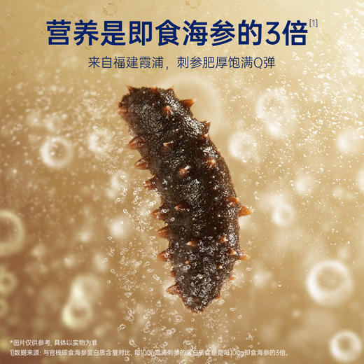 【限时特惠】-月套餐 官栈鲜炖海参·6Q霞浦刺参滋补海参 商品图1