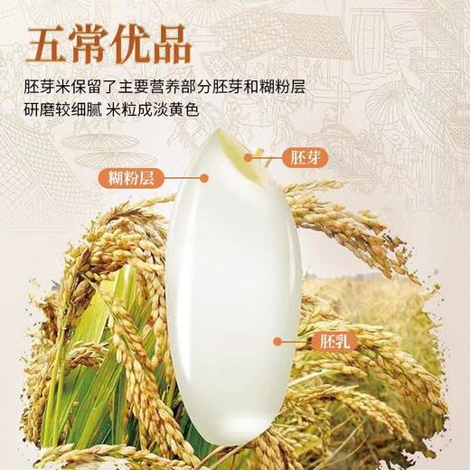 农家鲜米5kg 商品图0