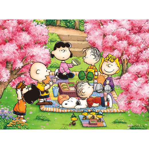 花卉物语+春季野餐/48片×2 商品图2