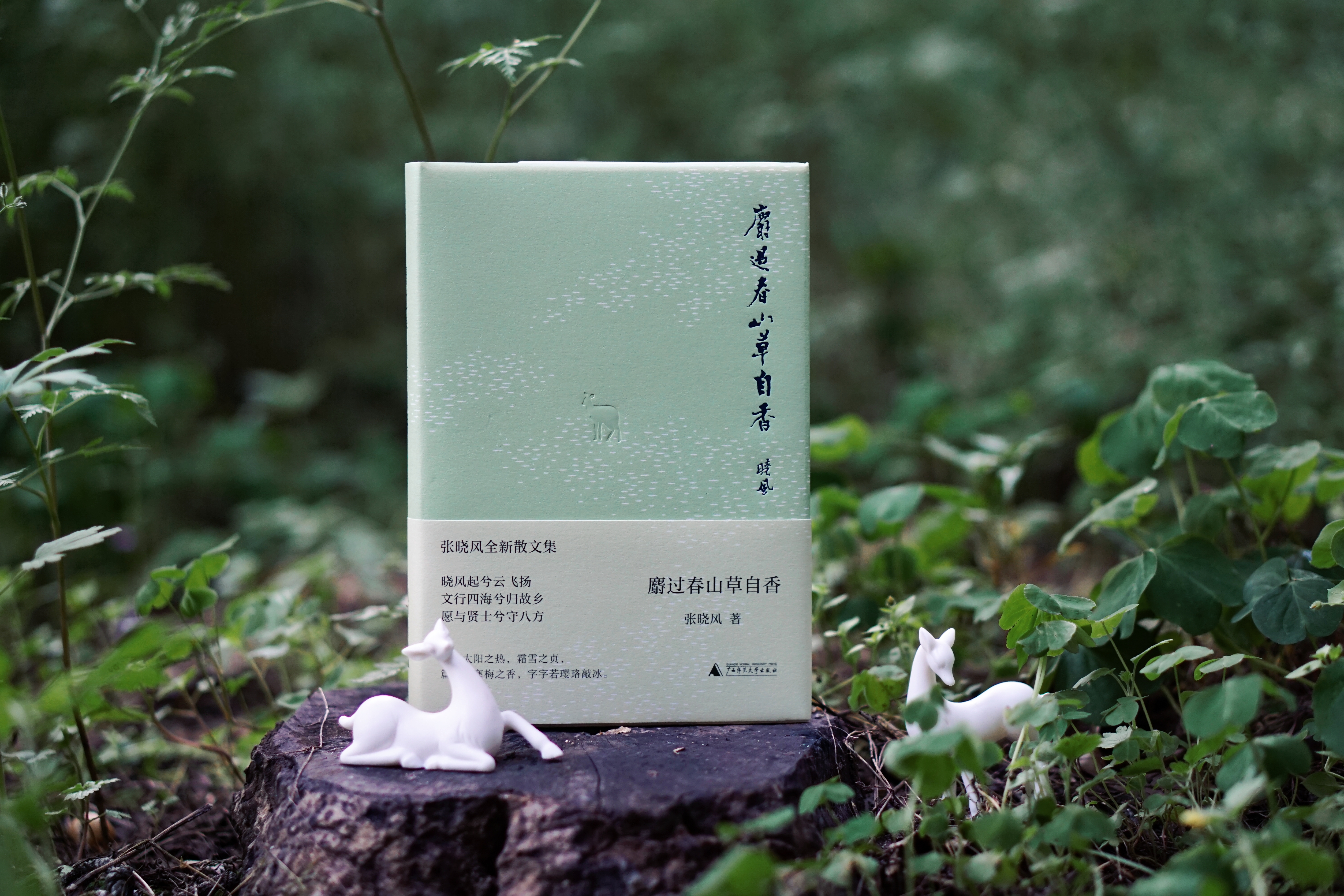 【毛边钤印本】麝过春山草自香  张晓风 著 （随书赠送书签一枚）