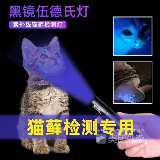 伍德氏灯照猫藓灯宠物真菌检测手电筒荧光紫光灯USB充电式1个 商品图0